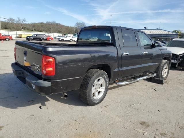 2011 Dodge Dakota SLT