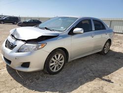 Salvage cars for sale from Copart Temple, TX: 2010 Toyota Corolla Base