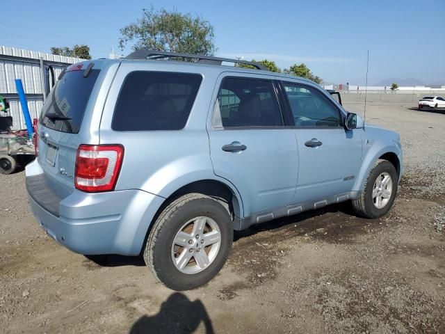 2008 Ford Escape HEV