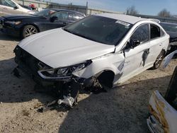 Hyundai Sonata Vehiculos salvage en venta: 2019 Hyundai Sonata SE