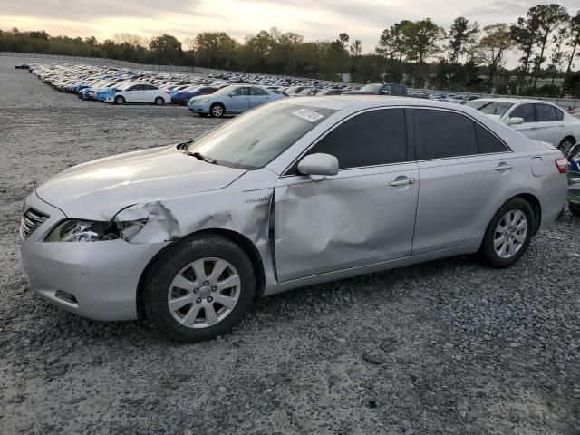 2009 Toyota Camry Hybrid