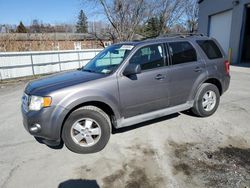 Ford salvage cars for sale: 2010 Ford Escape XLT