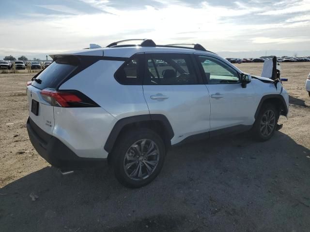 2023 Toyota Rav4 XLE Premium