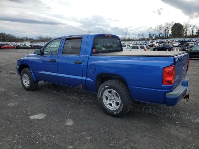 2007 Dodge Dakota Quattro