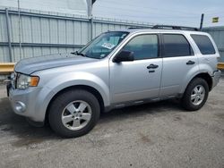 Salvage cars for sale at Dyer, IN auction: 2011 Ford Escape XLT