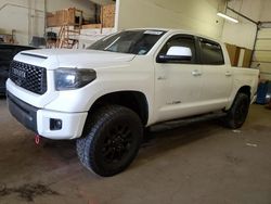 Salvage cars for sale at Ham Lake, MN auction: 2017 Toyota Tundra Crewmax SR5