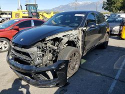 Porsche Cayenne salvage cars for sale: 2014 Porsche Cayenne