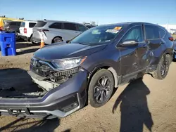 Salvage cars for sale at Brighton, CO auction: 2021 Honda CR-V EXL