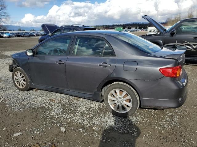 2010 Toyota Corolla Base