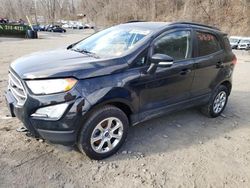 Salvage cars for sale at Marlboro, NY auction: 2021 Ford Ecosport SE