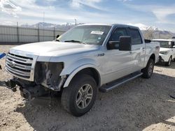 Salvage cars for sale at Magna, UT auction: 2014 Ford F150 Supercrew
