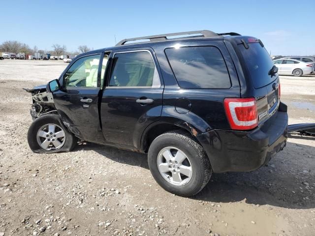 2008 Ford Escape XLT