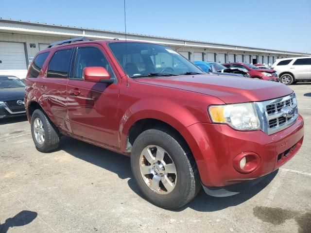 2012 Ford Escape Limited