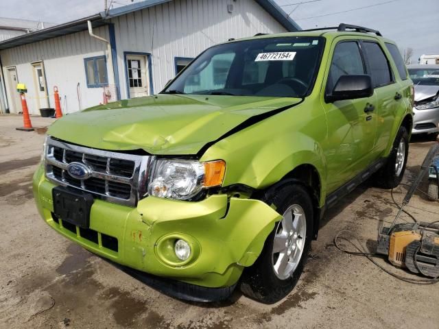 2012 Ford Escape XLT