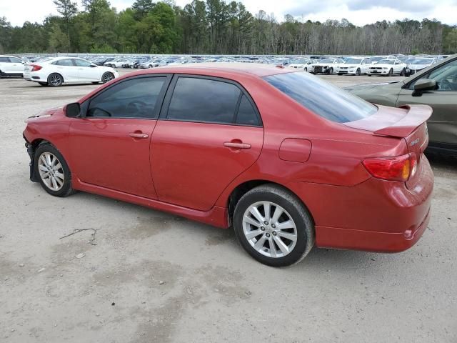 2010 Toyota Corolla Base