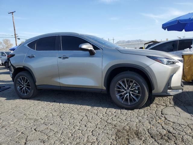 2024 Lexus NX 250 Premium