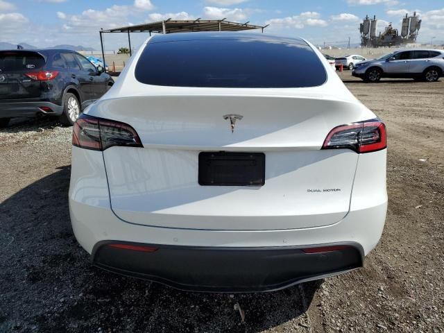 2020 Tesla Model Y