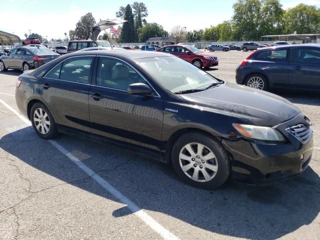 2007 Toyota Camry Hybrid