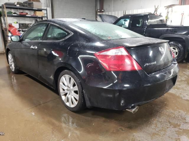 2009 Honda Accord EXL