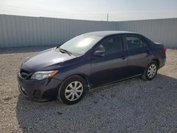 Salvage cars for sale from Copart Arcadia, FL: 2011 Toyota Corolla Base