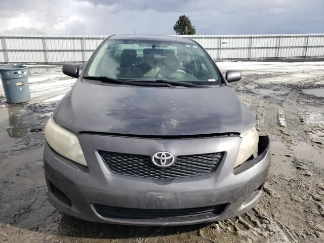 2009 Toyota Corolla Base