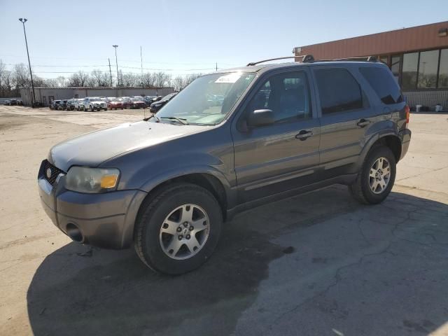 2005 Ford Escape Limited