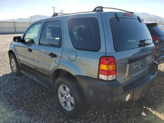 2005 Ford Escape XLT