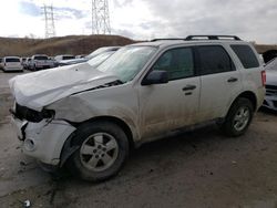 2011 Ford Escape XLT for sale in Littleton, CO