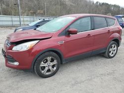 Ford Escape Vehiculos salvage en venta: 2013 Ford Escape SE