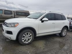 Volkswagen Touareg V6 salvage cars for sale: 2013 Volkswagen Touareg V6