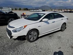 Salvage cars for sale at Mentone, CA auction: 2015 Hyundai Sonata Hybrid