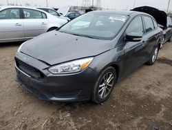 Ford Focus salvage cars for sale: 2016 Ford Focus SE