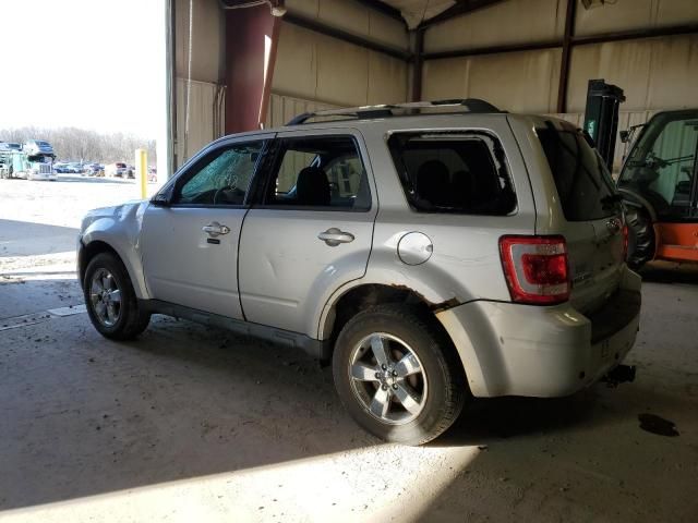 2011 Ford Escape Limited