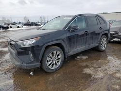 Salvage cars for sale at Rocky View County, AB auction: 2021 Toyota Rav4 XLE