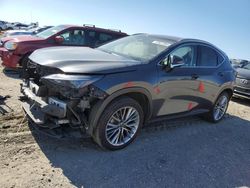 Lexus nx 350h salvage cars for sale: 2022 Lexus NX 350H