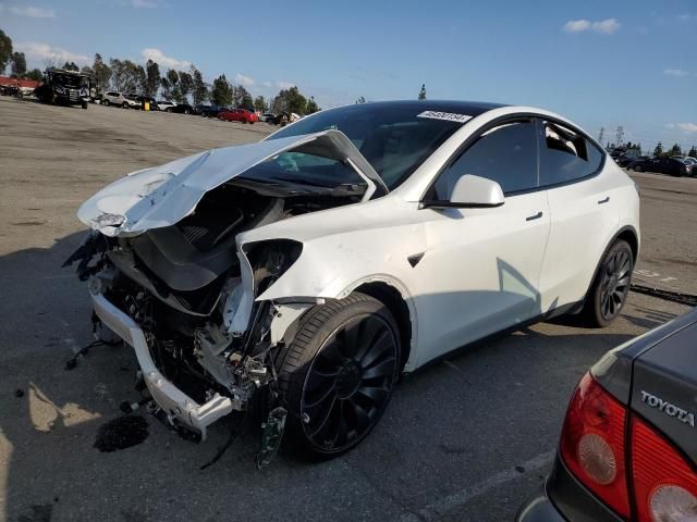 2022 Tesla Model Y