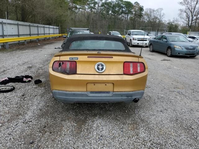 2010 Ford Mustang