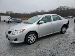 Toyota Corolla salvage cars for sale: 2010 Toyota Corolla Base