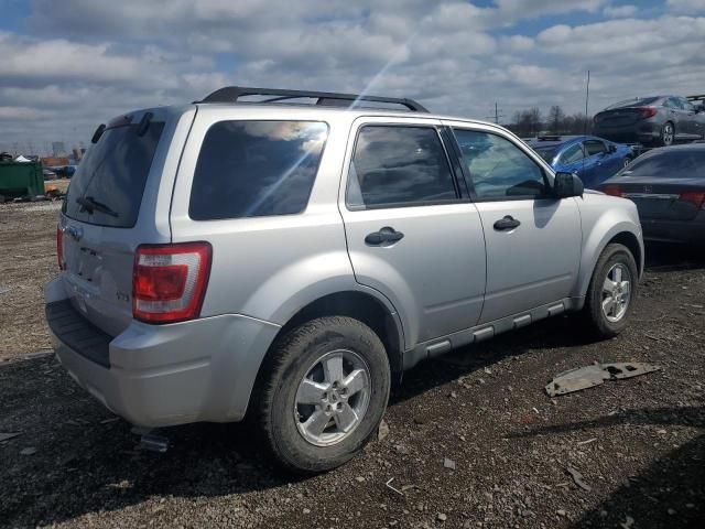 2011 Ford Escape XLT