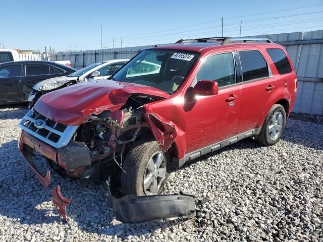 2011 Ford Escape Limited