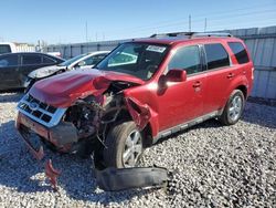 Salvage cars for sale at Columbus, OH auction: 2011 Ford Escape Limited