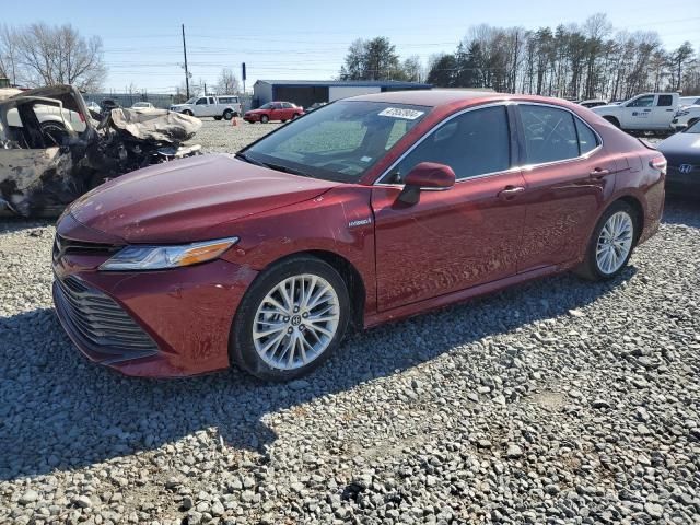 2019 Toyota Camry Hybrid