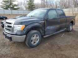 2013 Ford F150 Supercrew for sale in Davison, MI