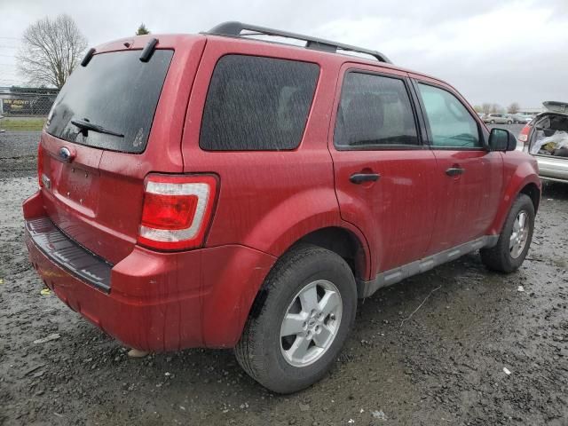 2009 Ford Escape XLT