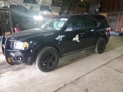 Vehiculos salvage en venta de Copart Albany, NY: 2012 Ford Escape XLT