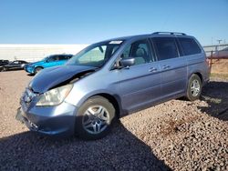 Salvage cars for sale at Phoenix, AZ auction: 2005 Honda Odyssey EX