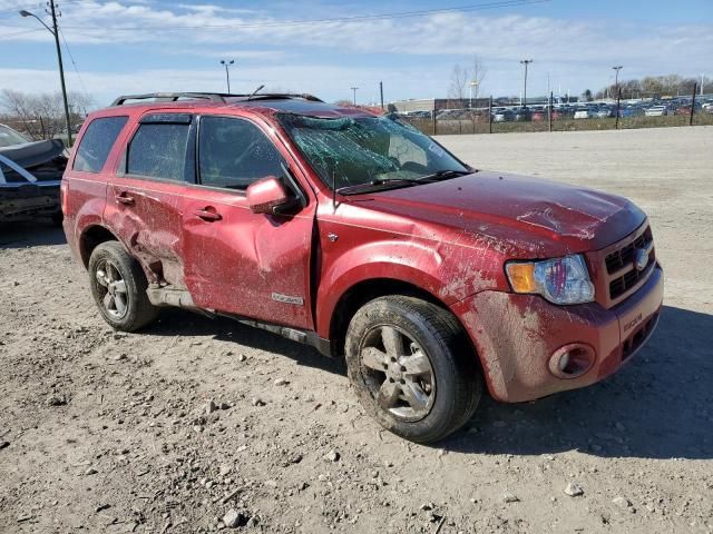 2008 Ford Escape Limited