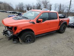 Salvage cars for sale at Marlboro, NY auction: 2023 Ford F150 Raptor