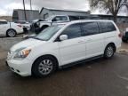 2009 Honda Odyssey EXL