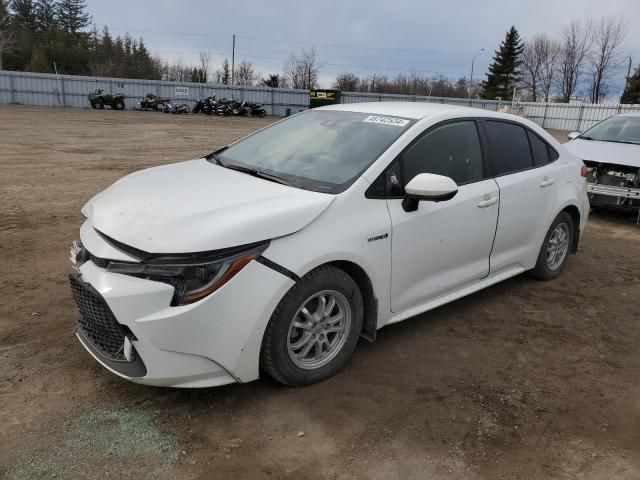 2020 Toyota Corolla LE